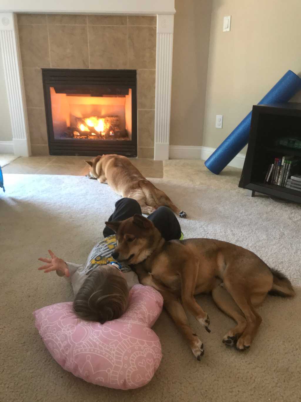 Puppies and Ash by the fire